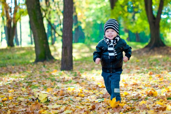 Мальчик гуляет в парке