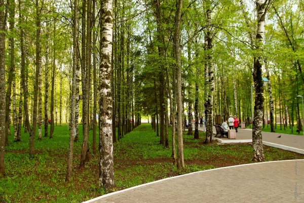Парк Победы парк Екатеринбург