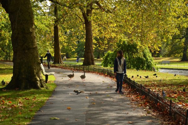 Сентябрь Риджентс парк