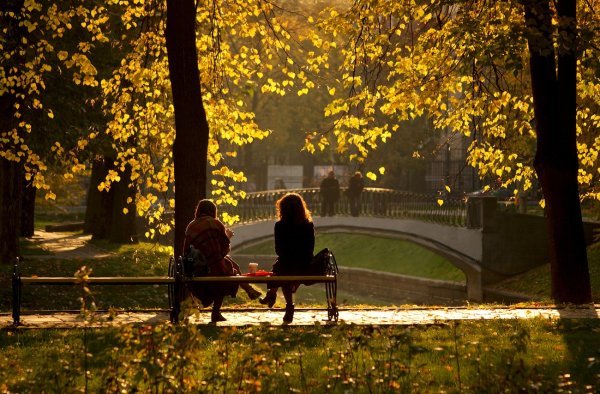Вечерняя прогулка в парке