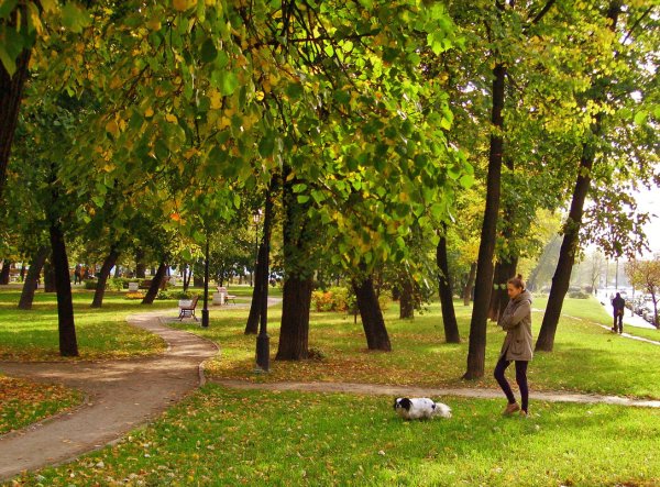 Прогулка по парку