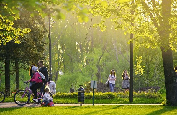 Ботанический сад им профессора и с Косенко Краснодар