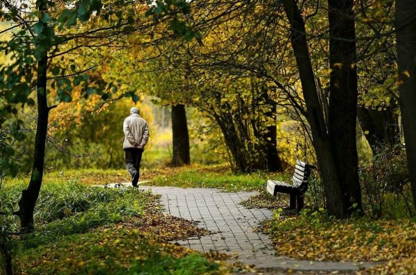 Прогулка в осеннем парке