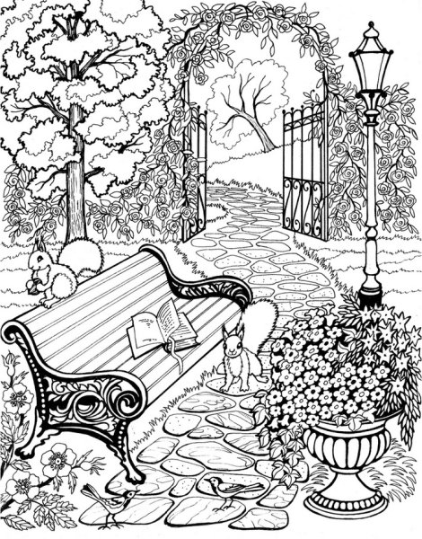 Сад карандашом