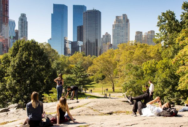 Прогулка по централ парку в Нью Йорке
