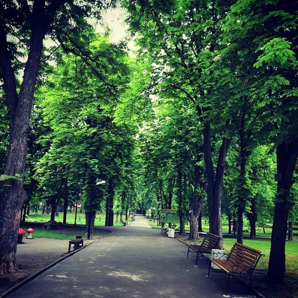 Парк им октября Ростов-на-Дону