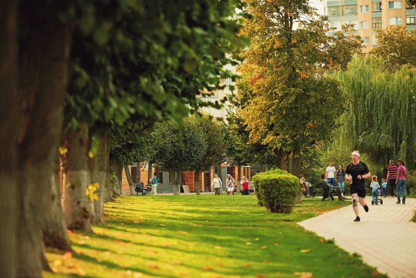 Тамбов зеленый город