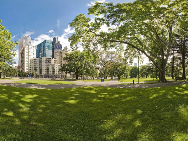 Деревья в городе