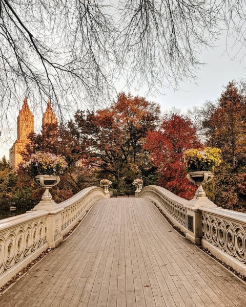 Парк в Нью-Йорке осенью