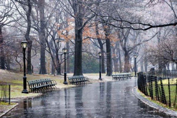 Поздняя осень Нью Йорк