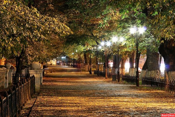 Городской парк город Благовещенск ночью