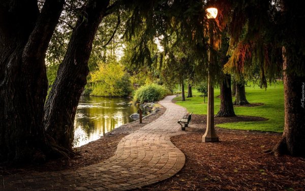 Красивый АРК