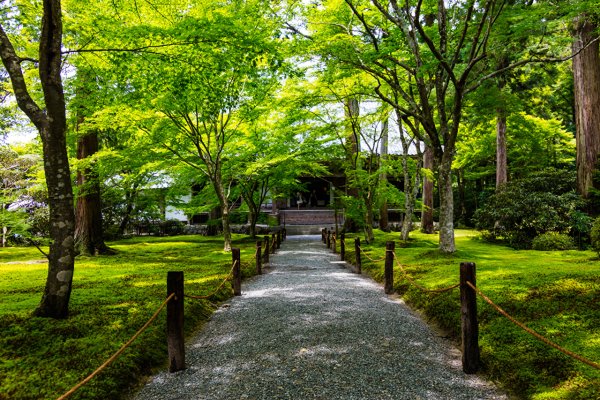 Парк Киото Япония