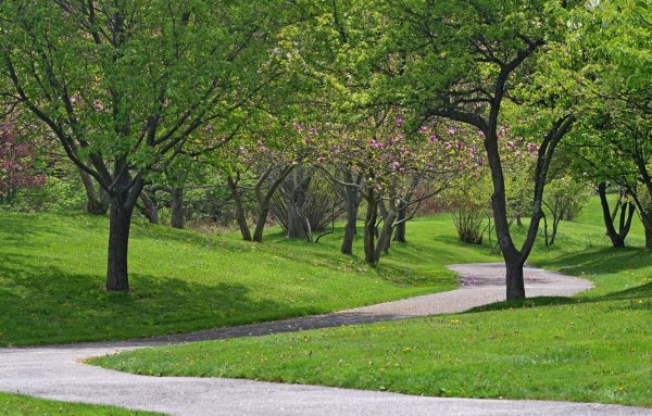 Весенний парк