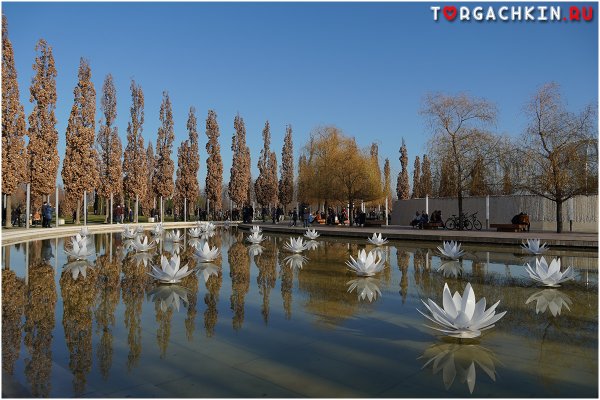 Парк Галицкого в Краснодаре осенью
