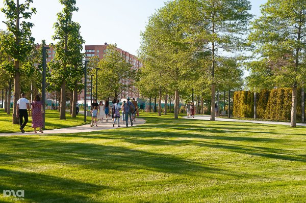 Сквер Краснодар