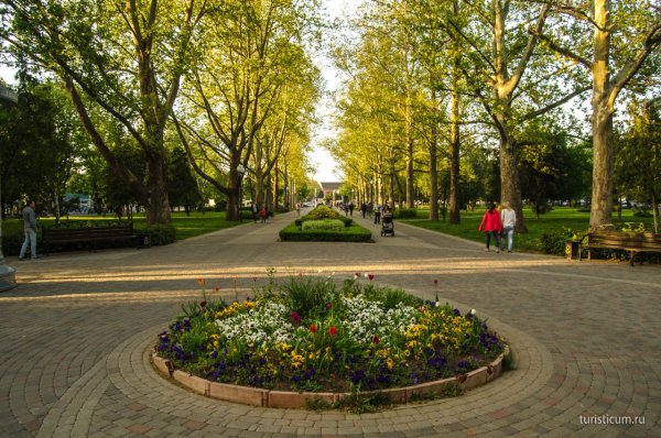 Краснодар аллея