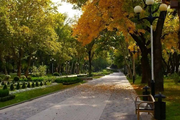 Сквер красная Краснодар