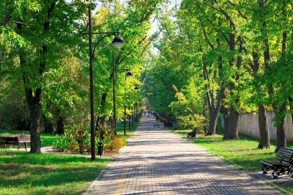 Дендрологический парк Краснодар