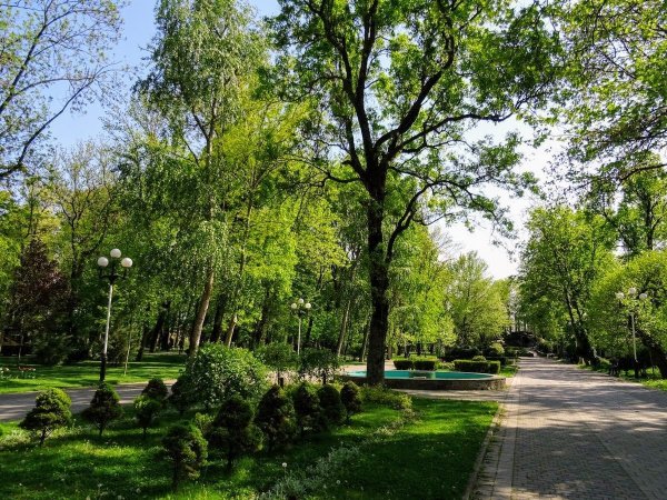 Парк Кубань Краснодар