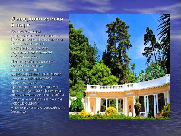 Дендрарий Сочи сообщение