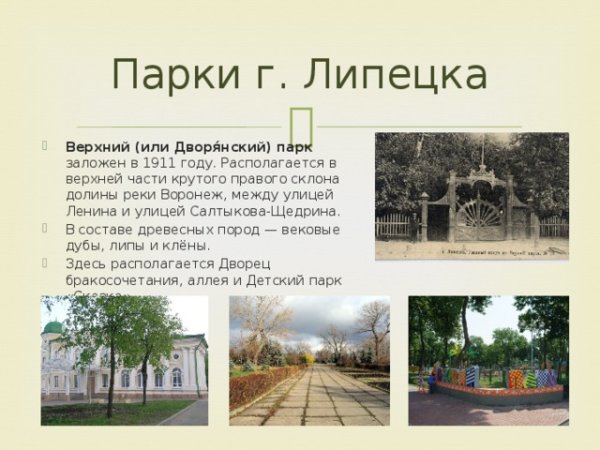 Проект парки Липецка