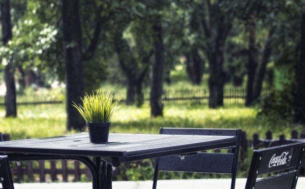 Столики в парке