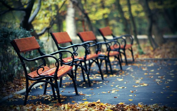 Осенний парк с лавочкой