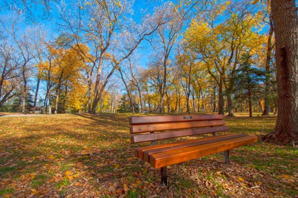 Осень парк лавочка