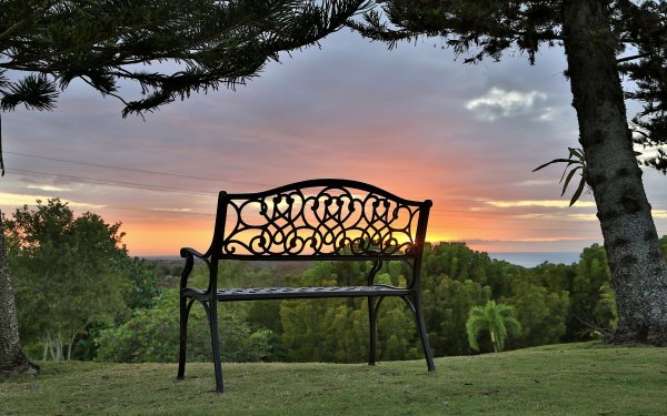 Парк скамейка