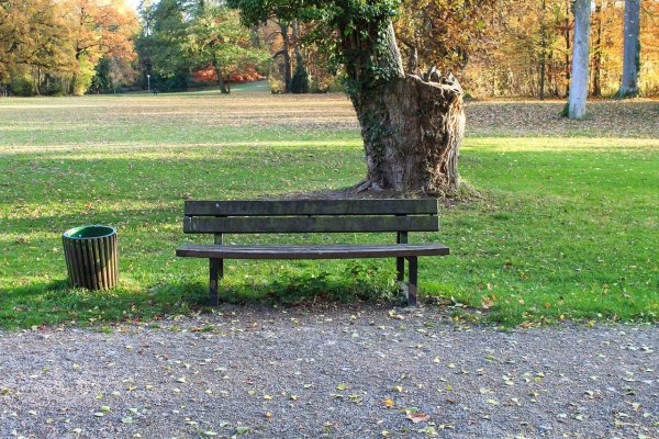 Скамейка в Битцевском парке