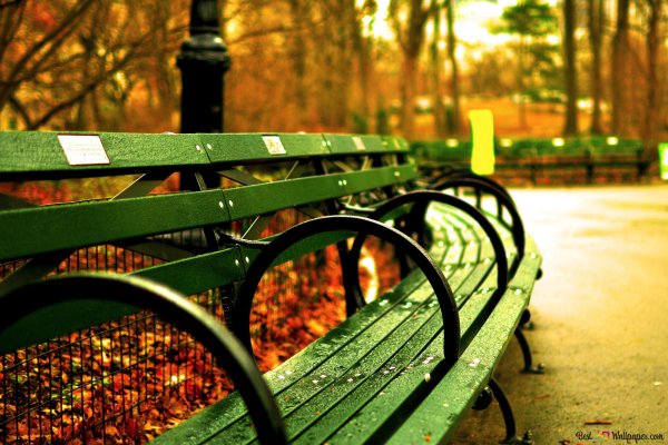 Парк в Нью-Йорке