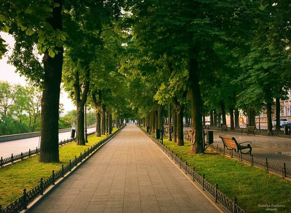 Улица Липовая аллея Москва