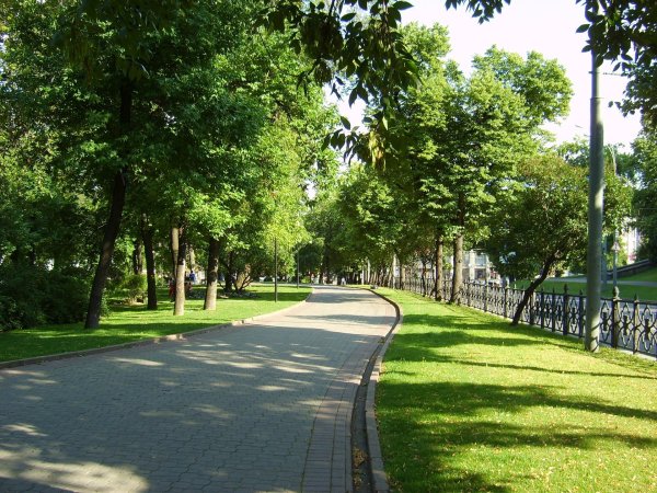 Зеленый сквер Новогиреево