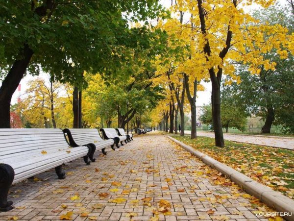 Парковые аллеи в Москве