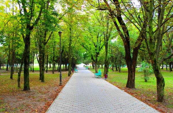 Город Темрюк парк