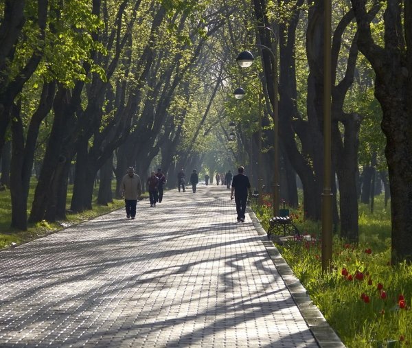 В парке