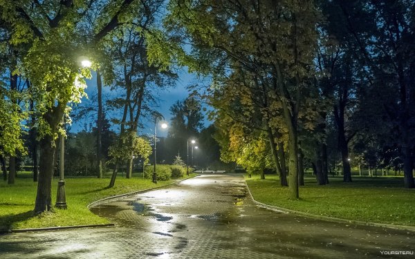 Ночной Питер парк