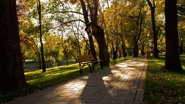 Октябрьский парк Москва