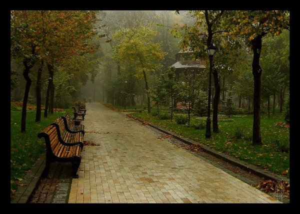 Осенний дождливый парк