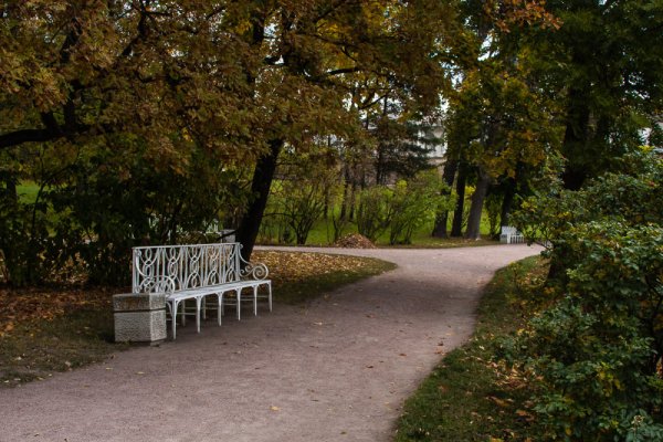 Скамейки в Царском селе