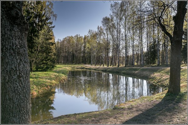 Лесопарки России