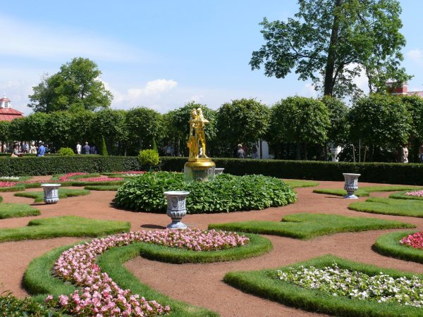 Петергоф партерные цветники