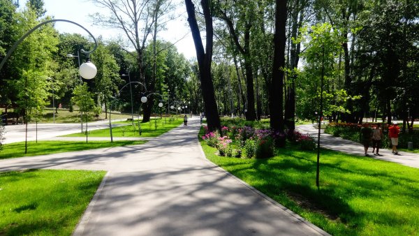 Город Воронеж парк