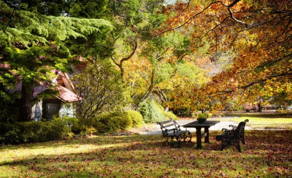 Осенний сад