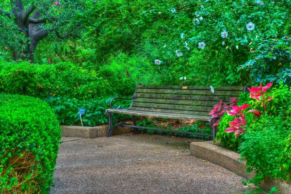 Зеленый парк