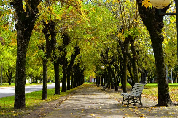 Лесопарк Рязань осень