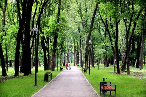 Бульвар, сквер, парк Иваново