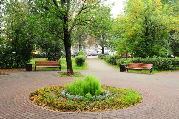 Озеленение городского парка