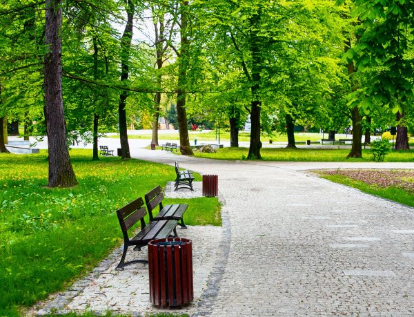 Городское благоустройство